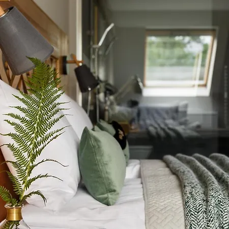 노바 B&B *